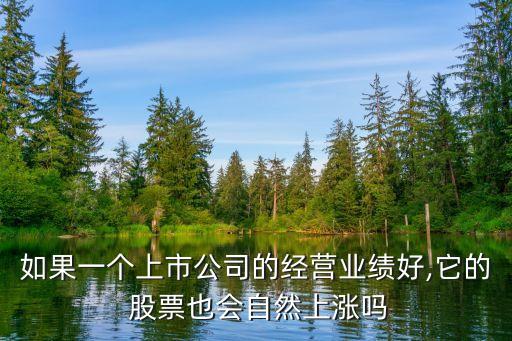 如果一個(gè)上市公司的經(jīng)營(yíng)業(yè)績(jī)好,它的 股票也會(huì)自然上漲嗎