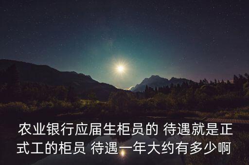  農業(yè)銀行應屆生柜員的 待遇就是正式工的柜員 待遇一年大約有多少啊