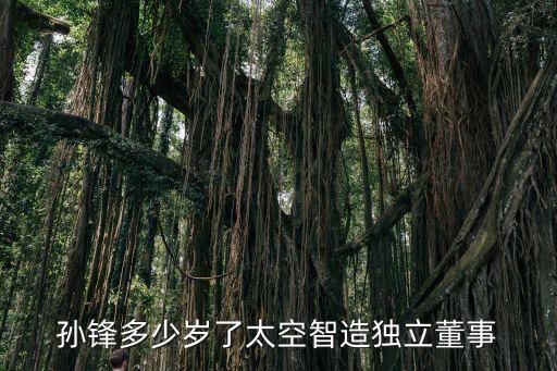 孫鋒多少歲了太空智造獨立董事