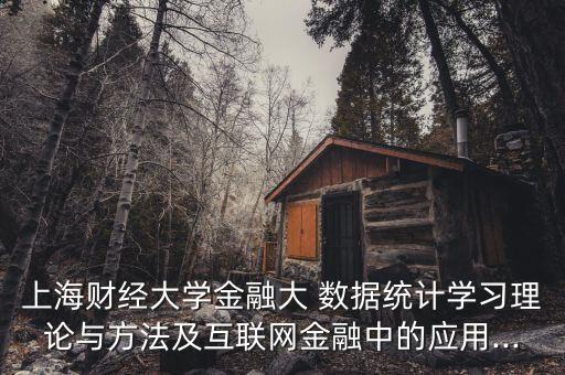 上海財經(jīng)大學金融大 數(shù)據(jù)統(tǒng)計學習理論與方法及互聯(lián)網(wǎng)金融中的應(yīng)用...