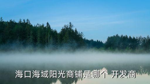  ?？诤Ｓ蜿?yáng)光商鋪是哪個(gè) 開(kāi)發(fā)商