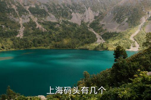  上海碼頭有幾個
