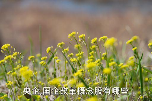 央企,國(guó)企改革概念股有哪些