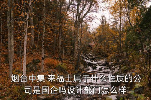  煙臺中集 來福士屬于什么性質(zhì)的公司是國企嗎設計部門怎么樣