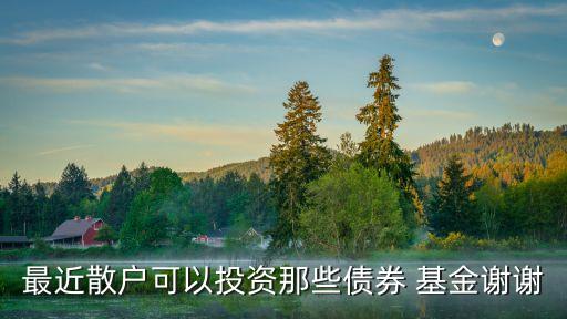 最近散戶(hù)可以投資那些債券 基金謝謝