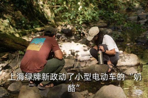  上海綠牌新政動(dòng)了小型電動(dòng)車的“奶酪”