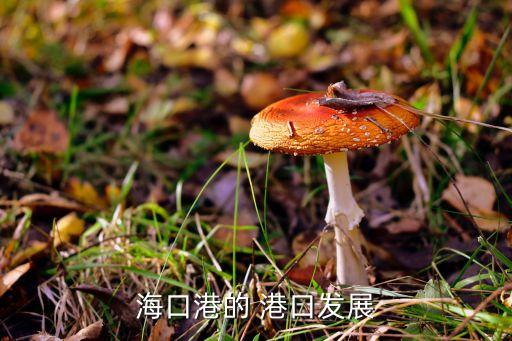 ?？诟鄣?港口發(fā)展