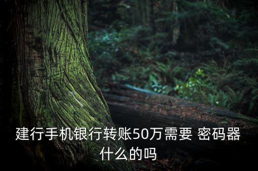 建設銀行密碼器怎么用
