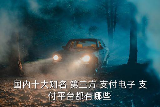 國內(nèi)十大知名 第三方 支付電子 支付平臺都有哪些