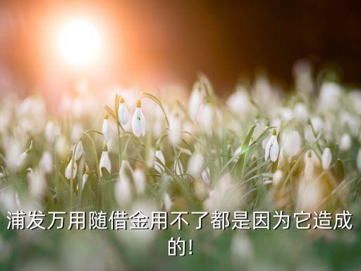 浦發(fā)萬(wàn)用隨借金用不了都是因?yàn)樗斐傻?