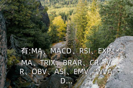 有:MA、MACD、RSI、EXPMA、TRIX、BRAR、CR、VR、OBV、ASI、EMV、WVAD...