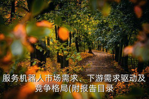 服務(wù)機(jī)器人市場(chǎng)需求、下游需求驅(qū)動(dòng)及競(jìng)爭(zhēng)格局(附報(bào)告目錄