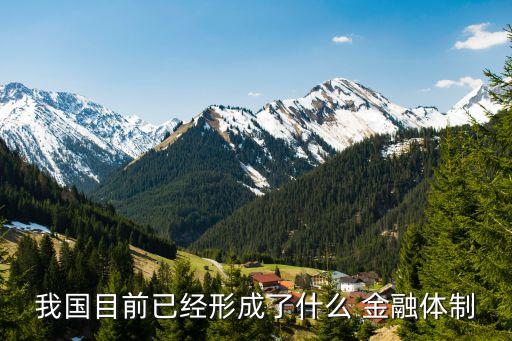 我國(guó)目前已經(jīng)形成了什么 金融體制