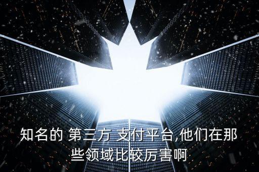 知名的 第三方 支付平臺,他們在那些領(lǐng)域比較厲害啊