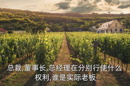 總裁,董事長,總經(jīng)理在分別行使什么 權(quán)利,誰是實際老板