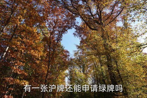 有一張滬牌還能申請(qǐng)綠牌嗎