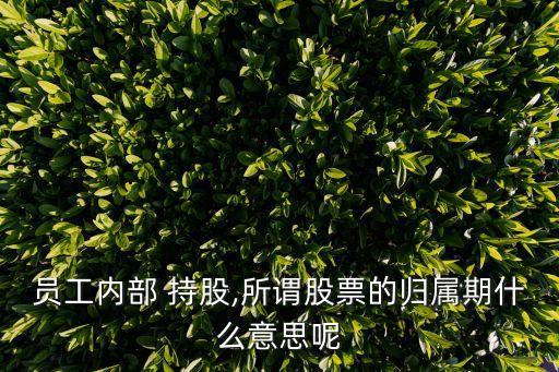 員工內部 持股,所謂股票的歸屬期什么意思呢