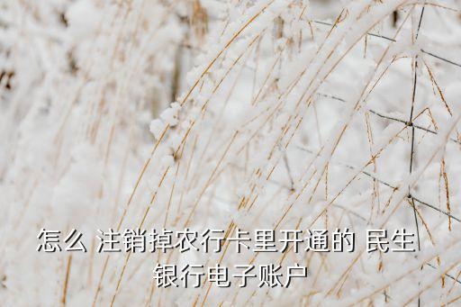 如何注銷民生手機銀行,民生信用卡怎么注銷在手機上操作