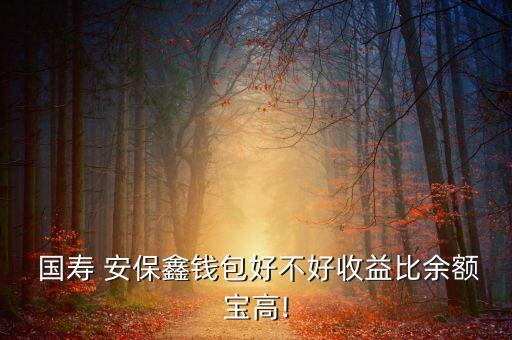 國壽安?；鹫?501097國壽安?；?/></a></span><span id=