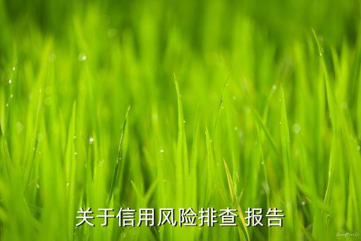 關(guān)于信用風險排查 報告