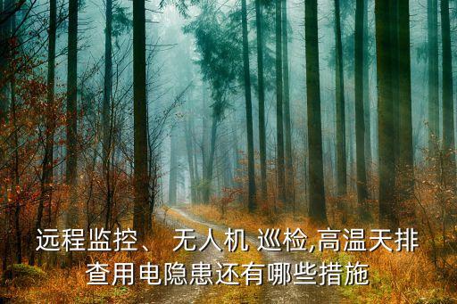 武漢供電公司無人機巡檢,供電公司無人機巡檢新聞稿
