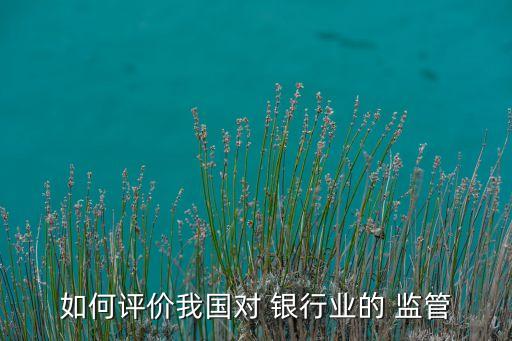 如何評(píng)價(jià)我國對(duì) 銀行業(yè)的 監(jiān)管