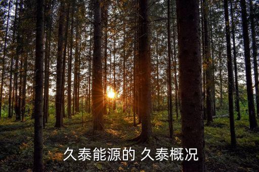 河北久泰集團,誰收購內蒙古久泰集團