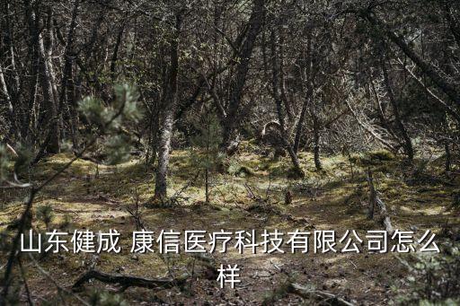上?？敌湃谫Y租
