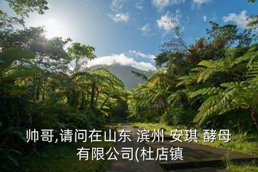 濱州安琪酵母有限公司,安琪酵母濱州有限公司官方網站
