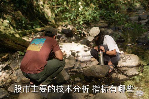 股票分類(lèi)指標(biāo),股票中vol是什么指標(biāo)
