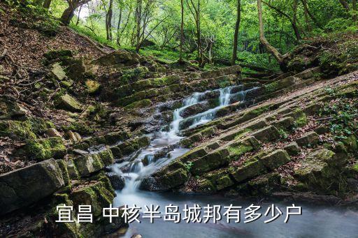 中國(guó)中核中簽查詢(xún)
