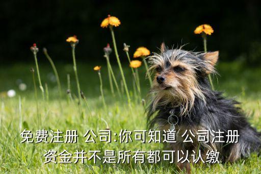 免費注冊 公司:你可知道 公司注冊 資金并不是所有都可以認(rèn)繳