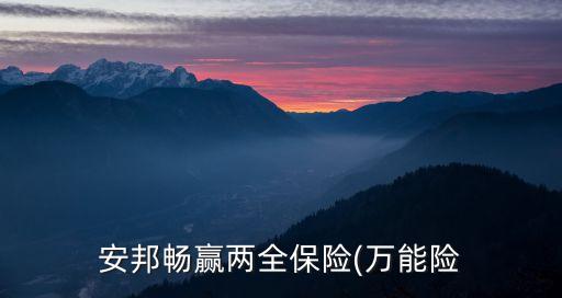 安邦暢贏兩全保險(xiǎn)(萬(wàn)能險(xiǎn)