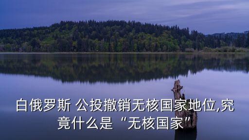 白俄羅斯 公投撤銷無核國(guó)家地位,究竟什么是“無核國(guó)家”