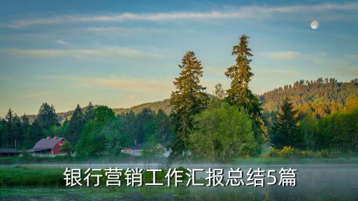  銀行營(yíng)銷(xiāo)工作匯報(bào)總結(jié)5篇
