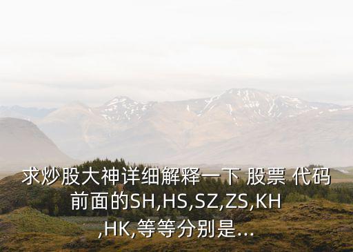求炒股大神詳細解釋一下 股票 代碼前面的SH,HS,SZ,ZS,KH,HK,等等分別是...