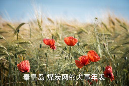 秦皇島 煤炭網的大事年表