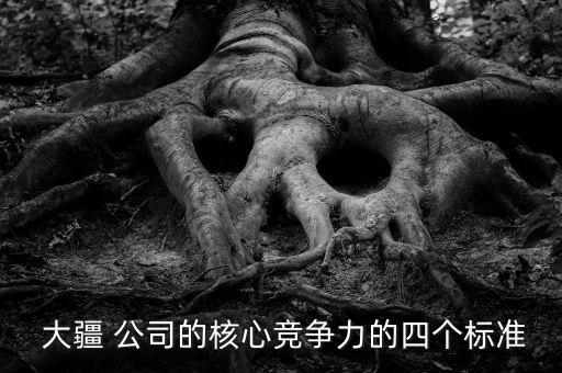  大疆 公司的核心競爭力的四個(gè)標(biāo)準(zhǔn)