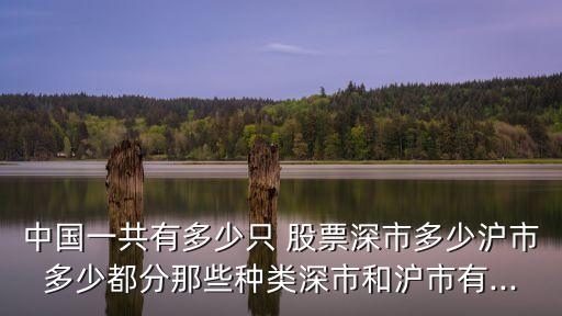 中國(guó)一共有多少只 股票深市多少滬市多少都分那些種類(lèi)深市和滬市有...