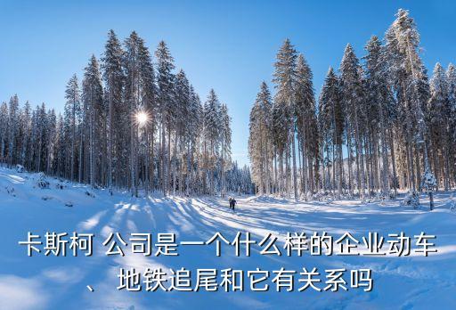 卡斯柯 公司是一個(gè)什么樣的企業(yè)動(dòng)車(chē)、 地鐵追尾和它有關(guān)系嗎