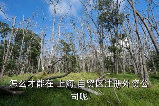 怎么才能在 上海 自貿(mào)區(qū)注冊(cè)外資公司呢