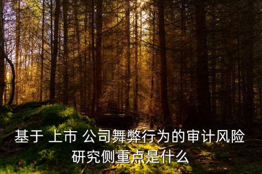 基于 上市 公司舞弊行為的審計風險研究側重點是什么
