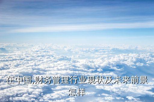 在中國,財(cái)務(wù)管理行業(yè)現(xiàn)狀及未來前景怎樣
