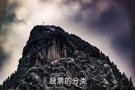  股票的分類(lèi)