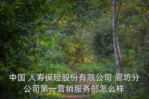 中國(guó) 人壽保險(xiǎn)股份有限公司 廊坊分公司第一營(yíng)銷(xiāo)服務(wù)部怎么樣