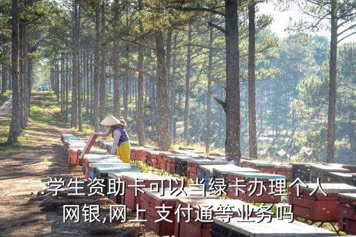 ...學生資助卡可以當綠卡辦理個人網(wǎng)銀,網(wǎng)上 支付通等業(yè)務嗎