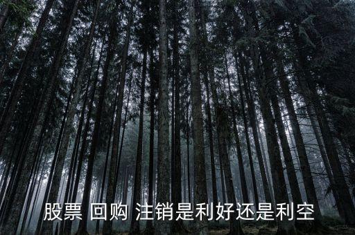 股票回購(gòu)注銷(xiāo)價(jià)格低