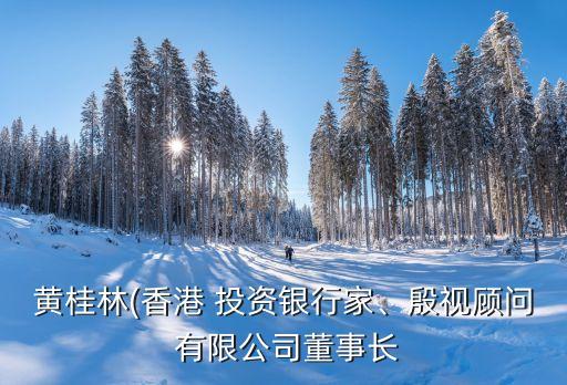 黃桂林(香港 投資銀行家、殷視顧問 有限公司董事長