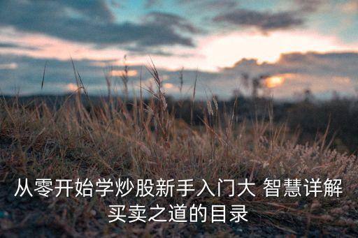從零開(kāi)始學(xué)炒股新手入門(mén)大 智慧詳解買(mǎi)賣(mài)之道的目錄