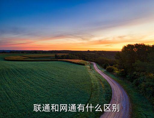 中國網通和中國聯(lián)通,中國聯(lián)通收購中國網通